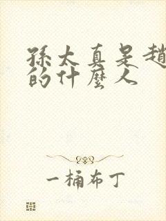 孙太真是赵匡胤的什么人