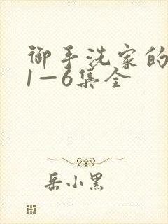 御手洗家的破洞1—6集全