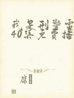 我是刑警电视剧40集免费播放