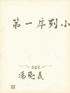 第一序列小说