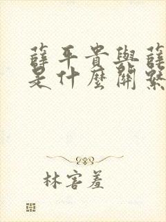 薛平贵与薛丁山是什么关系