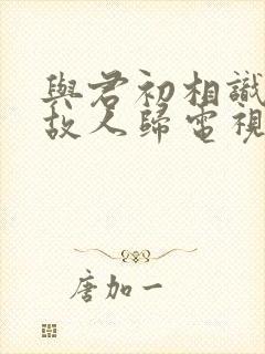 与君初相识恰似故人归电视剧免费观看