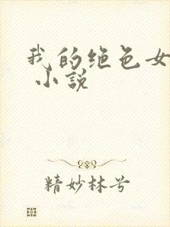 我的绝色女老师 小说封面