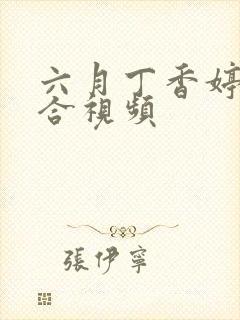 六月丁香婷婷综合视频