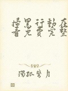 扫黑行动在线观看免费完整版免费