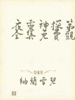 夜灵神探第一季全集免费观看高清封面