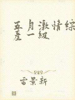 五月激情综合国产一级