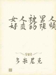 女人被男人操的好爽的视频