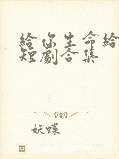 给你生命给我爱短剧合集封面