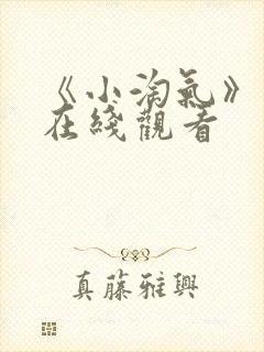 《小淘气》电影在线观看