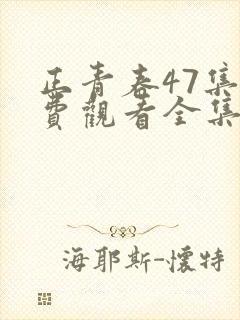 正青春47集免费观看全集