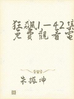 狂飙1—42集免费观看电视剧封面