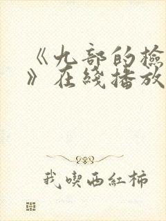 《九部的检察官》在线播放