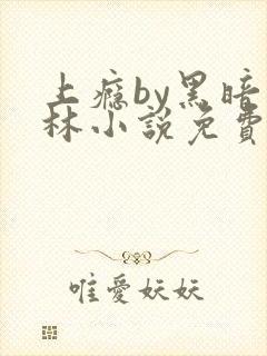 上瘾by黑暗森林小说免费封面