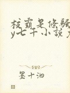 校霸是条骚狗by七千小说免费阅读