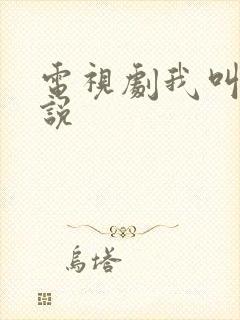 电视剧我叫刘传说