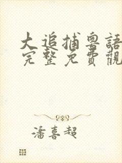 大追捕粤语在线完整免费观看