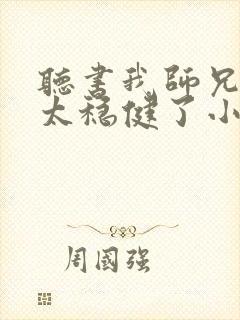 听书我师兄实在太稳健了小说封面