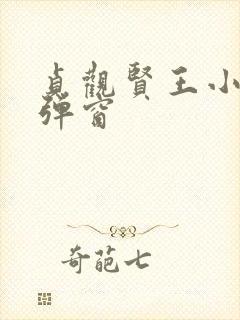 贞观贤王小说无弹窗