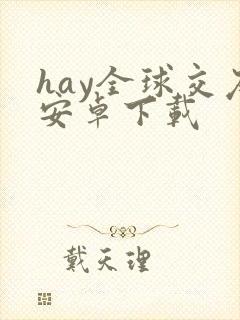 hay全球交友安卓下载