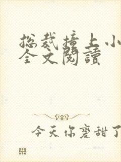 总裁撞上小蛮妻全文阅读