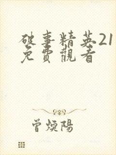 破事精英21集免费观看