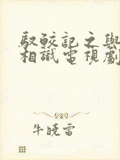 驭鲛记之与君初相识电视剧免费