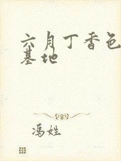 六月丁香色婷婷基地封面