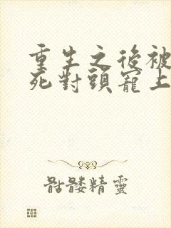 重生之后被渣男死对头宠上天