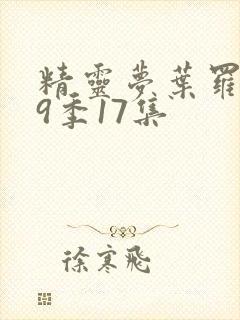 精灵梦叶罗丽第9季17集封面