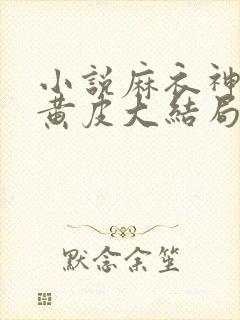 小说麻衣神婿陈黄皮大结局封面