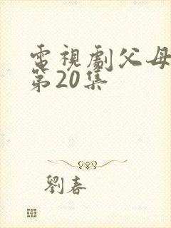 电视剧父母爱情第20集