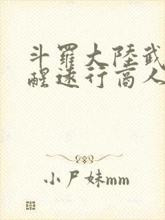 斗罗大陆武魂觉醒远行商人攻略封面