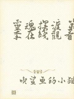 灵魂摆渡 第3季在线观看全集免费播放