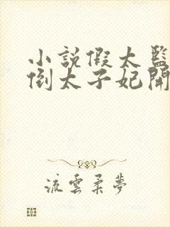 小说假太监从推倒太子妃开始那里可以看