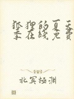 狐狸的夏天第一季在线免费观看