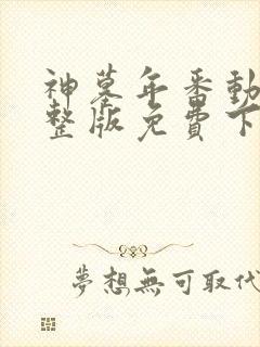 神墓年番动漫完整版免费下载