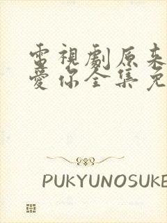 电视剧原来我很爱你全集免费观看封面