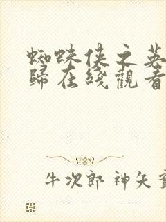 蜘蛛侠之英雄无归在线观看