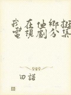 我在他乡挺好的电视剧分集剧情介绍