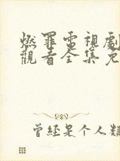 燃罪电视剧在线观看全集免费