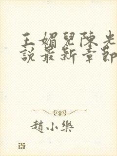 王媚儿陈光达小说最新章节更新时间