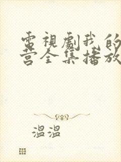 电视剧我的特一营全集播放