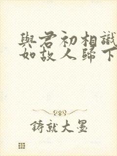 与君初相识,犹如故人归下一句