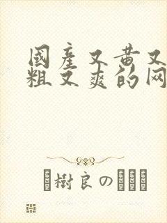 国产又黄又猛又粗又爽的网站