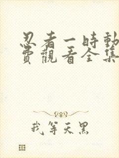 忍者一时动漫免费观看全集封面