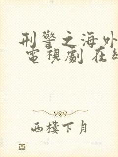 刑警之海外行动 电视剧 在线观看