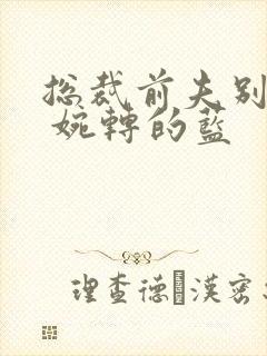 总裁前夫别找我 婉转的蓝