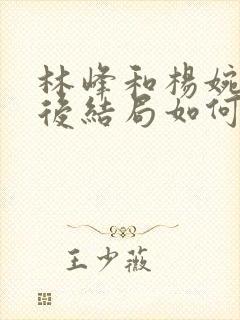 林峰和杨婉清最后结局如何