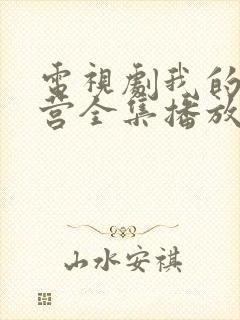 电视剧我的特一营全集播放